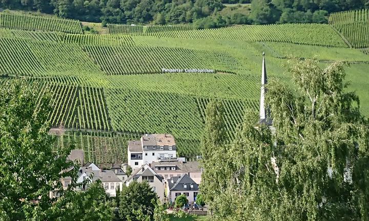 Gasthof Moselloreley